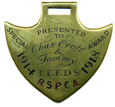 1914 18 RSPCA Brass