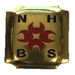 SPECIAL BRASS 2020 Blinker Stud